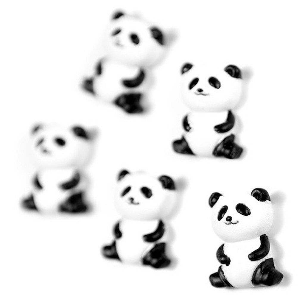 Kühlschrankmagnete Panda-Bären 5 Stück